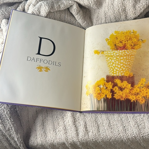 Anne Geddes Alphabet Book - 26 Beautiful Babies in Natural Settings - Picture 5 of 8